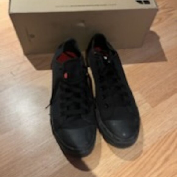 Merlin - Canvas - Picture 1 of 2